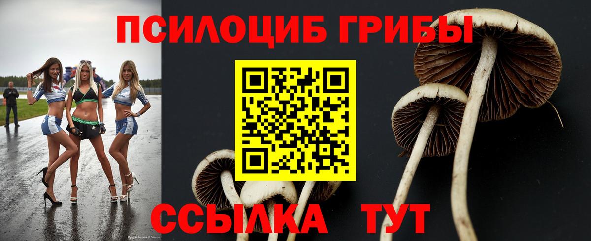 Галлюциногенные грибы мицелий  Вход с VPN  Арсеньев  Псилоцибиновые грибы Cubensis 